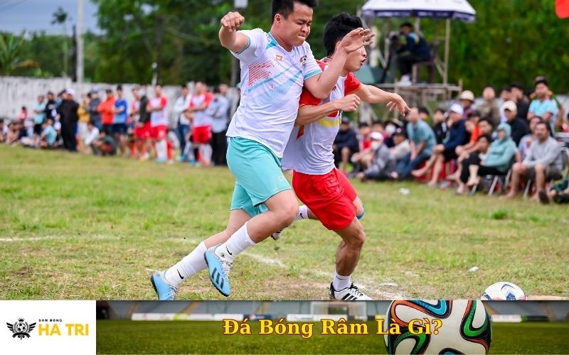 Đá Bóng Râm Là Gì