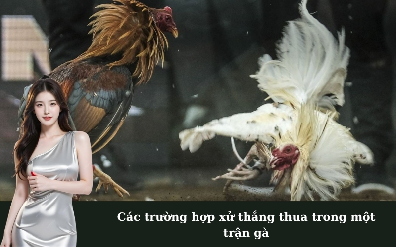 Các trường hợp xử thắng thua trong một trận gà