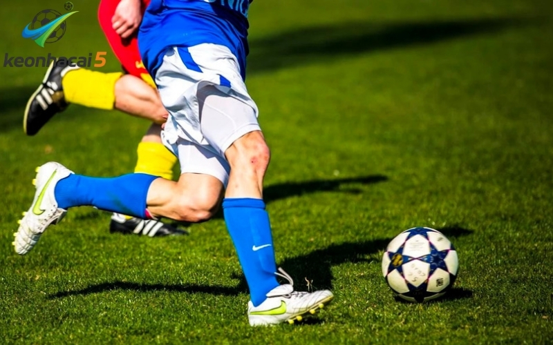 Các yếu tố ảnh hưởng đến dự đoán kèo