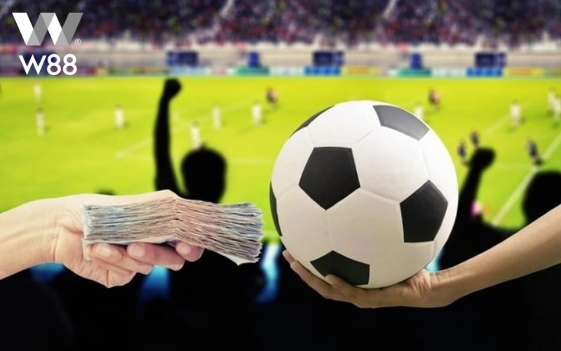 Tổng hợp chiến thuật cược chẵn lẻ đang được áp dụng rộng rãi