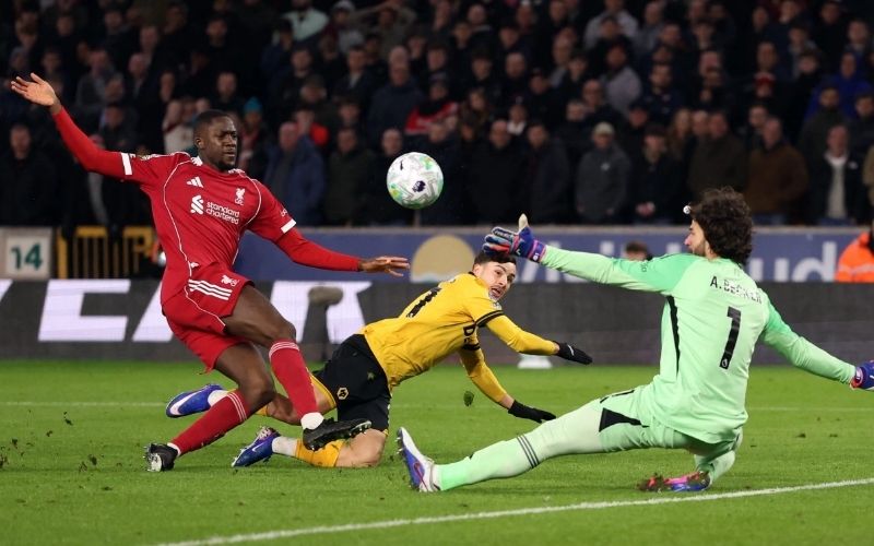 Tại sao không nên đặt niềm tin tuyệt đối vào đội bóng yêu?